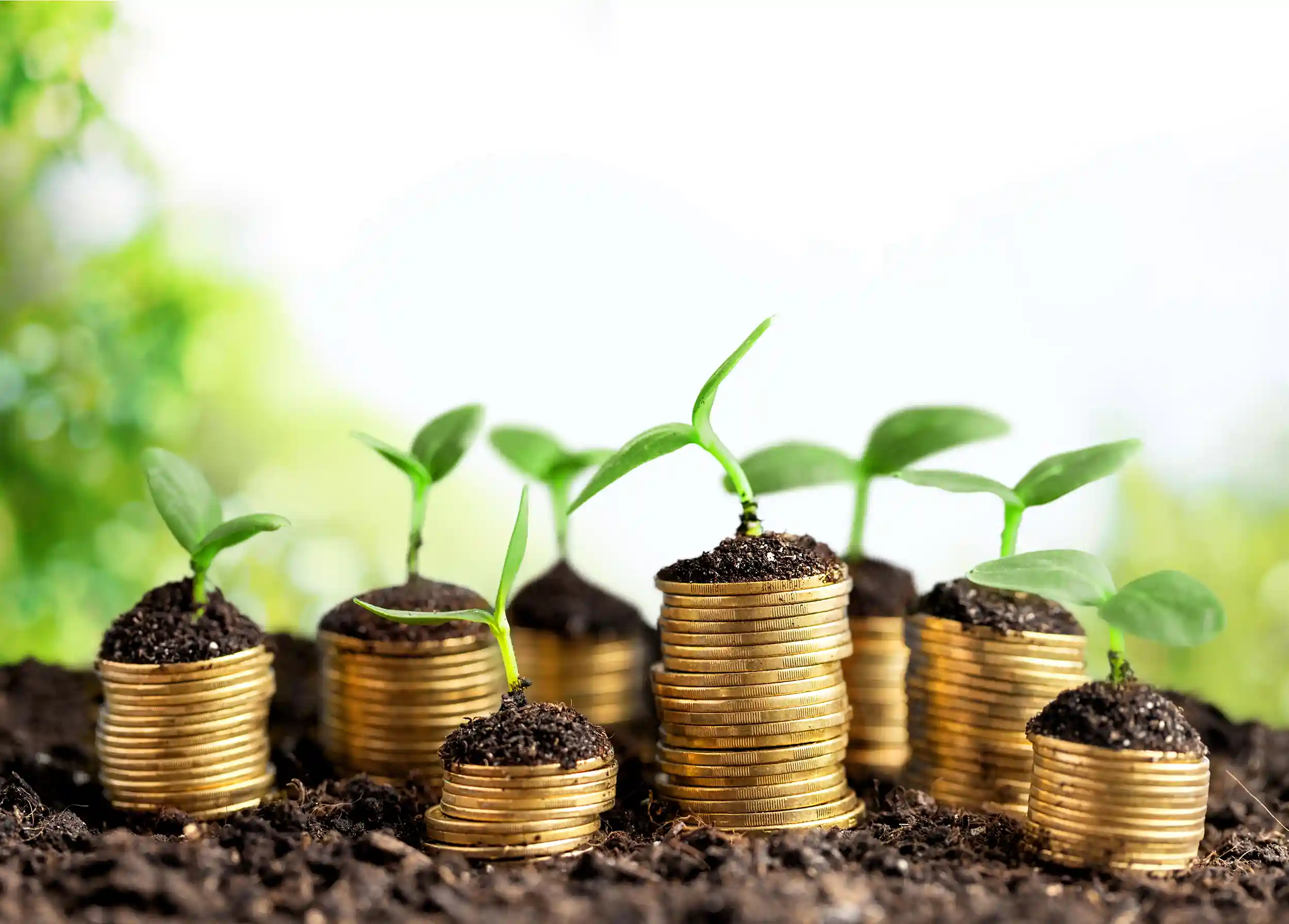 Investment Planning